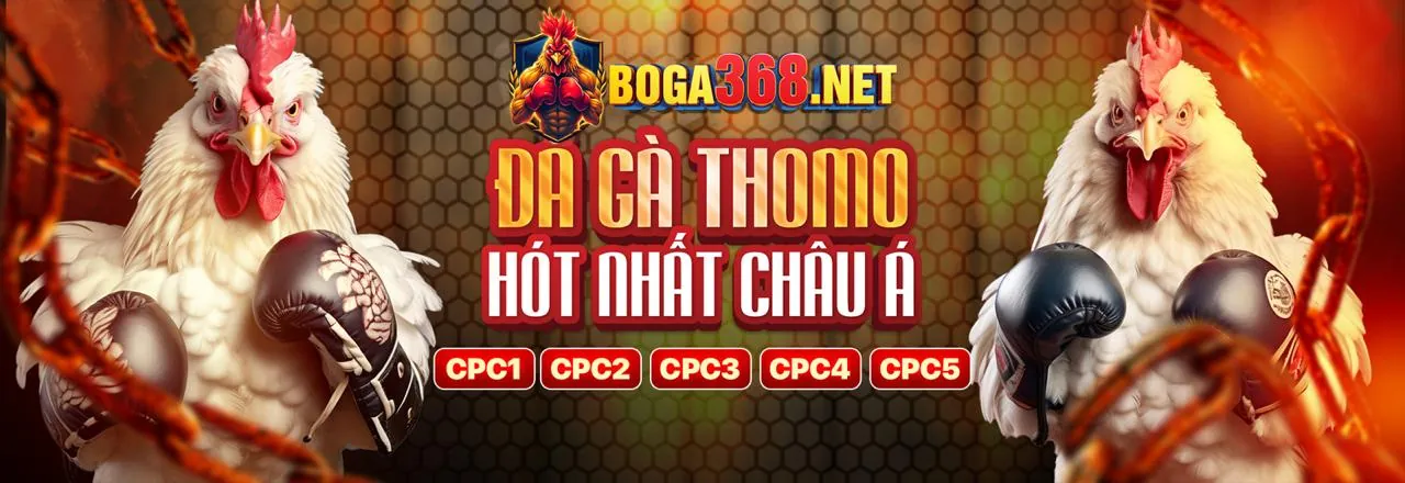 Đá gà trực tiếp f169 với không khí sôi động và những trận đấu kịch tính